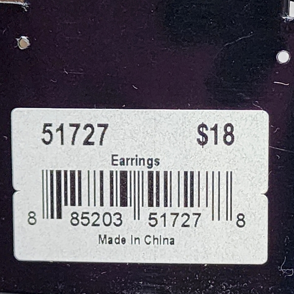 Cookie Lee Silver and Brown Hoop Earrings #51727 NWT - Picture 7 of 10